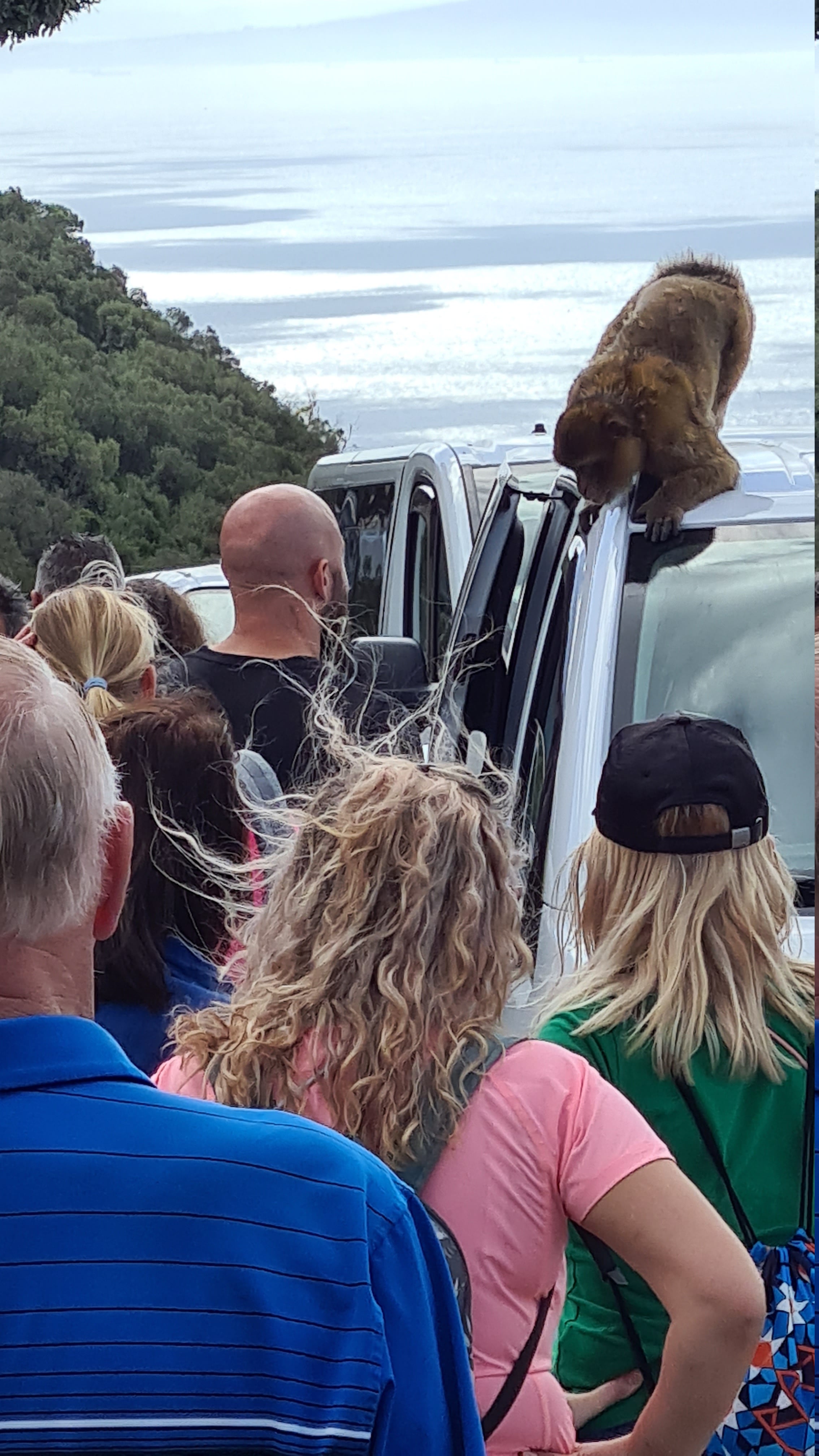 Die Berber beim alltäglichen Mittagsbuffett